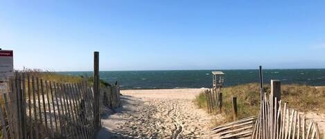 Playa en los alrededores y sombrillas