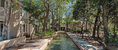A serene courtyard with a clear water feature, surrounded by trees and buildings.
