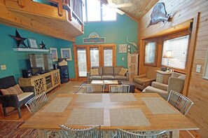 TV, DVD player, books, video library