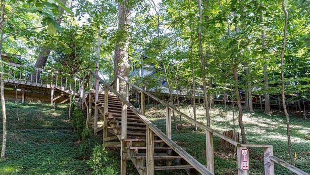 Eine Holztreppe, umgeben von Bäumen.