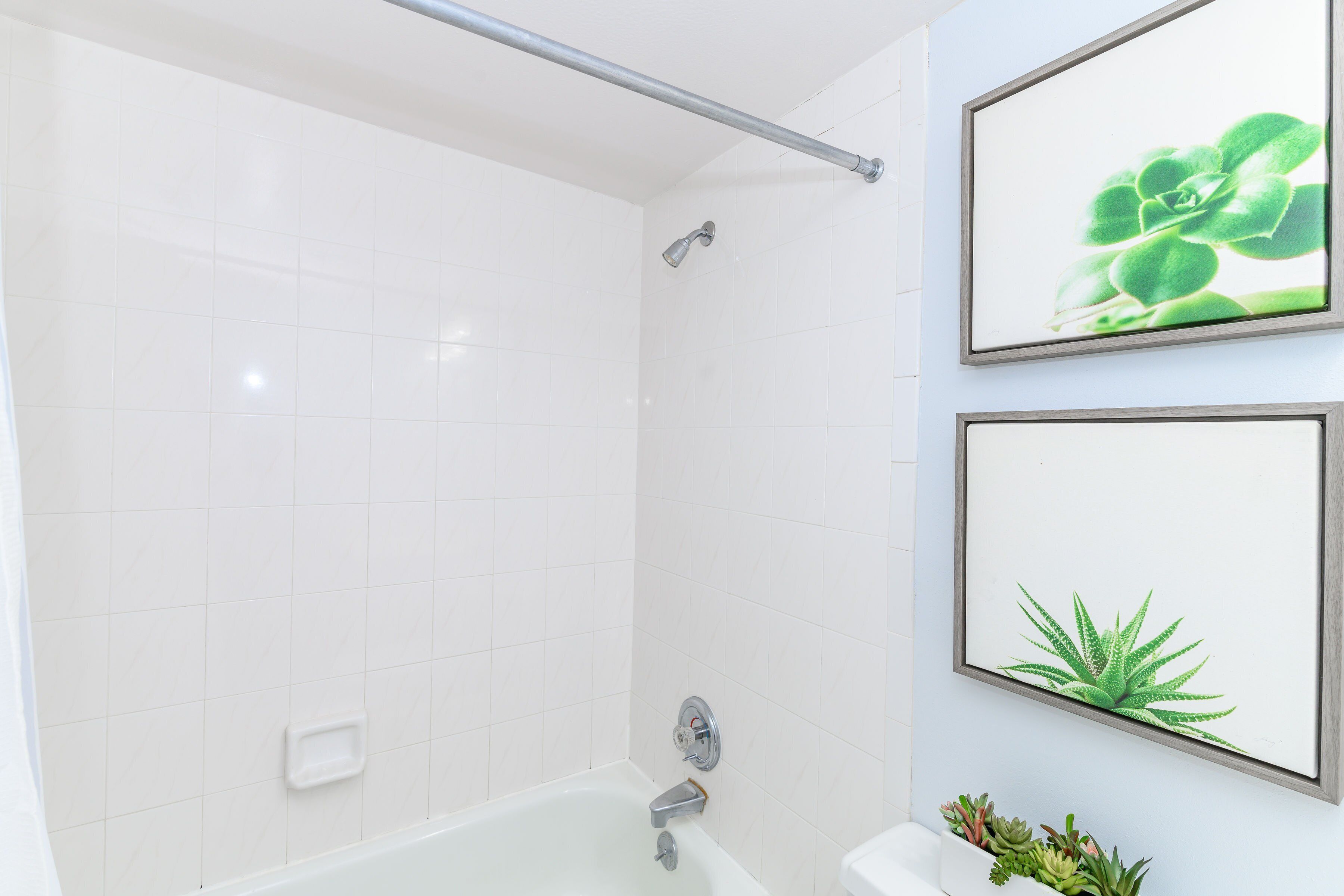 A bathroom with white tiles, a bathtub, a showerhead, and framed plant pictures on the wall.