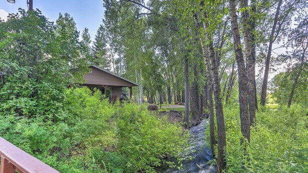 Une cabane entourée d’une forêt dense et traversée par un ruisseau.