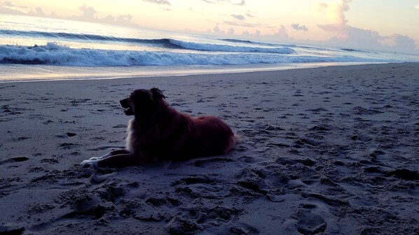 Beach nearby