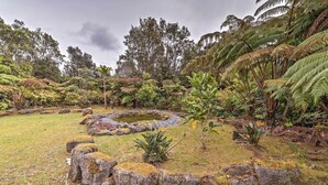 Un exuberante jardín con diversas helechos y plantas tropicales, un pequeño estanque y un sendero de piedra.