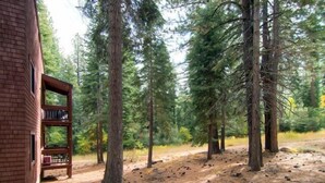 A rustic cabin with a brick exterior and a wooden bookshelf outside. - Ski-In/Ski-Out Northstar Condo Near Lake Tahoe! (Truckee)