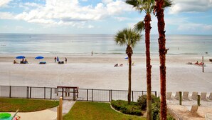Strandblick mit Palmen, einem Zaun und Liegestühlen.
