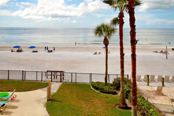 A beach view with palm trees, a fence, and beach chairs.