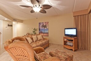 Fernseher, DVD-Player