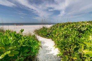 Een zandpad aan het strand, omzoomd door weelderige groene begroeiing.