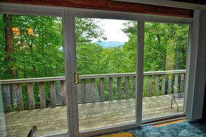 A wooden deck with a glass door leading to a forested area.