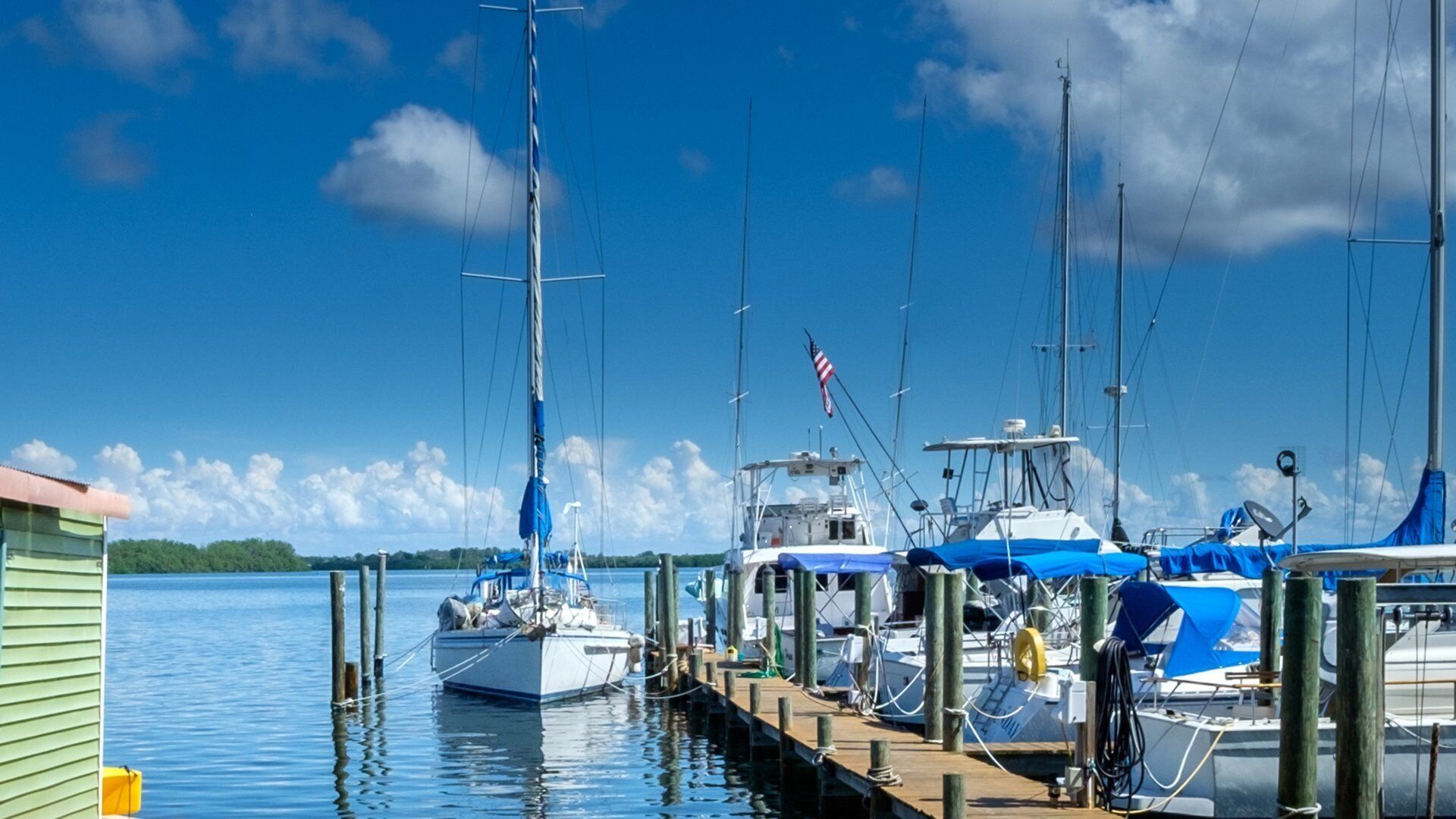 Marina
