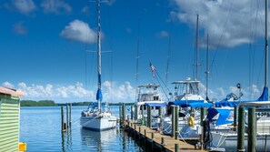 Unclassified image, 2 of 33, button - LAST MINUTE DEAL, Charming 2 Bed/2 Bath, FREE WiFi, Anna Maria Island Is Just Around The Corner or Stroll to Bay! (Bradenton)