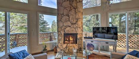 Televisión, chimenea, reproductor de DVD, libros