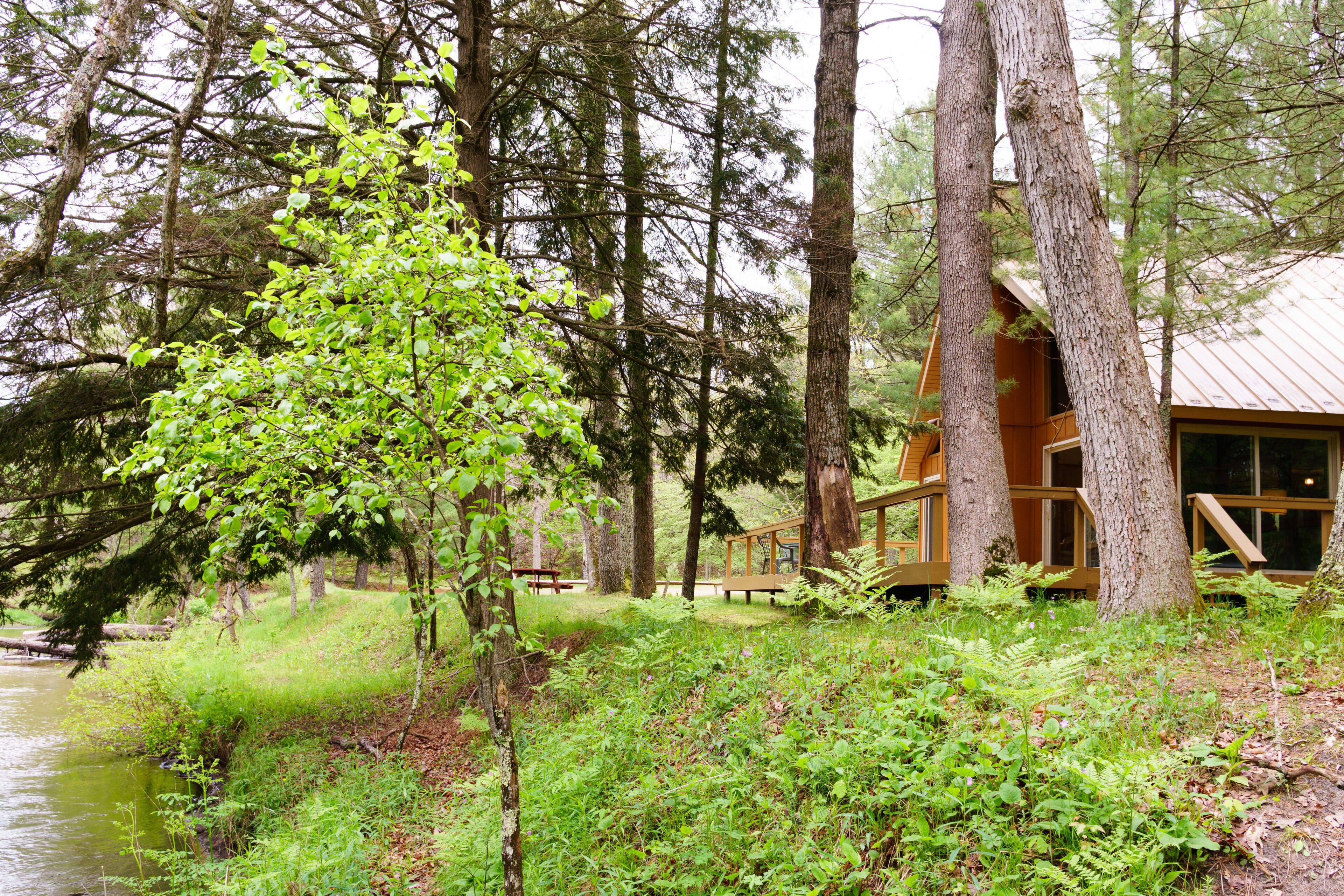 Fish & Kayak the Pere Marquette River from this Cozy Cabin on the River Bank