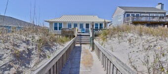 Skildpaddeur - Fortryllende kæledyr og familievenlig Oceanfront Gem