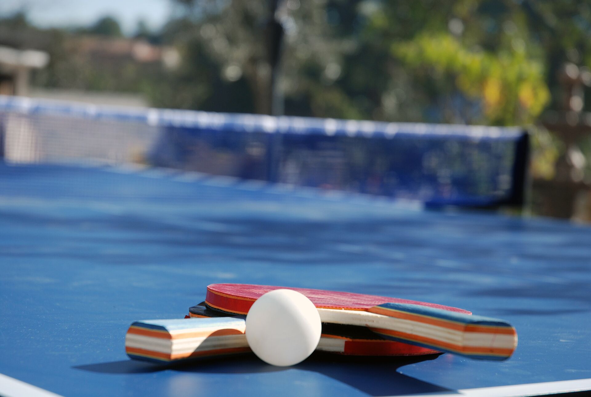 A table tennis table with a net, a paddle, and a ball.
