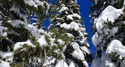 Off-Season & Summer Sale! Remodeled Townhome, valtava kannella, uima-allas, poreallas, mtn-näkymät, ilmainen Netflix, bussi