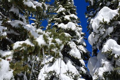 Remodeled TH Near Resort-Steps to Free Ski/Town Bus Stop+ HotTub-W/D in Unit-Gas Fireplace-Mtn View