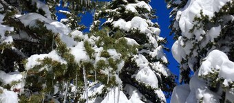 Off-Season & Summer Sale! Ombyggda Stadsbostad, Stor DĂ€ck, Pool, Bubbelbad, Mtn Views, Gratis Netflix, Bus