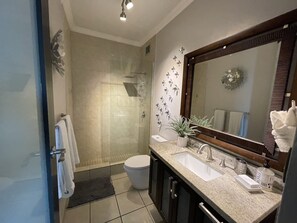 Shower, hair dryer, towels, soap