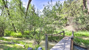 Un puente de madera sobre un arroyo tranquilo en un bosque.