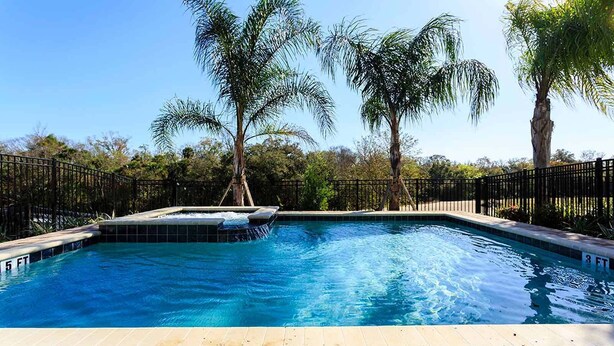 Una piscina con hidromasaje, rodeada de palmeras y una valla negra.