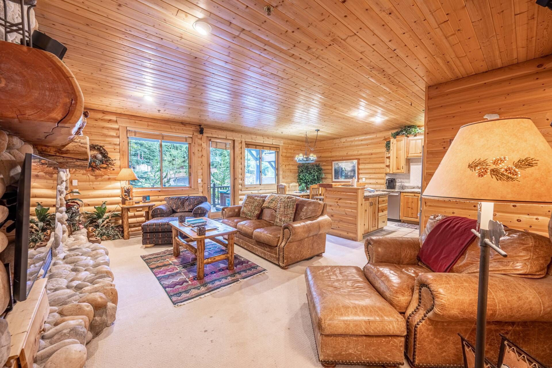 Télévision, cheminée, lecteur de DVD, chaîne hi-fi