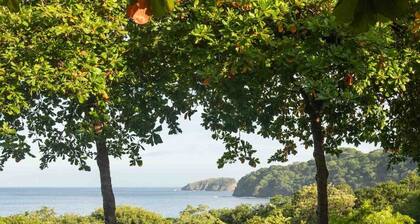 Ocean-View Villa Just Minutes from the Beach – Pure Paradise