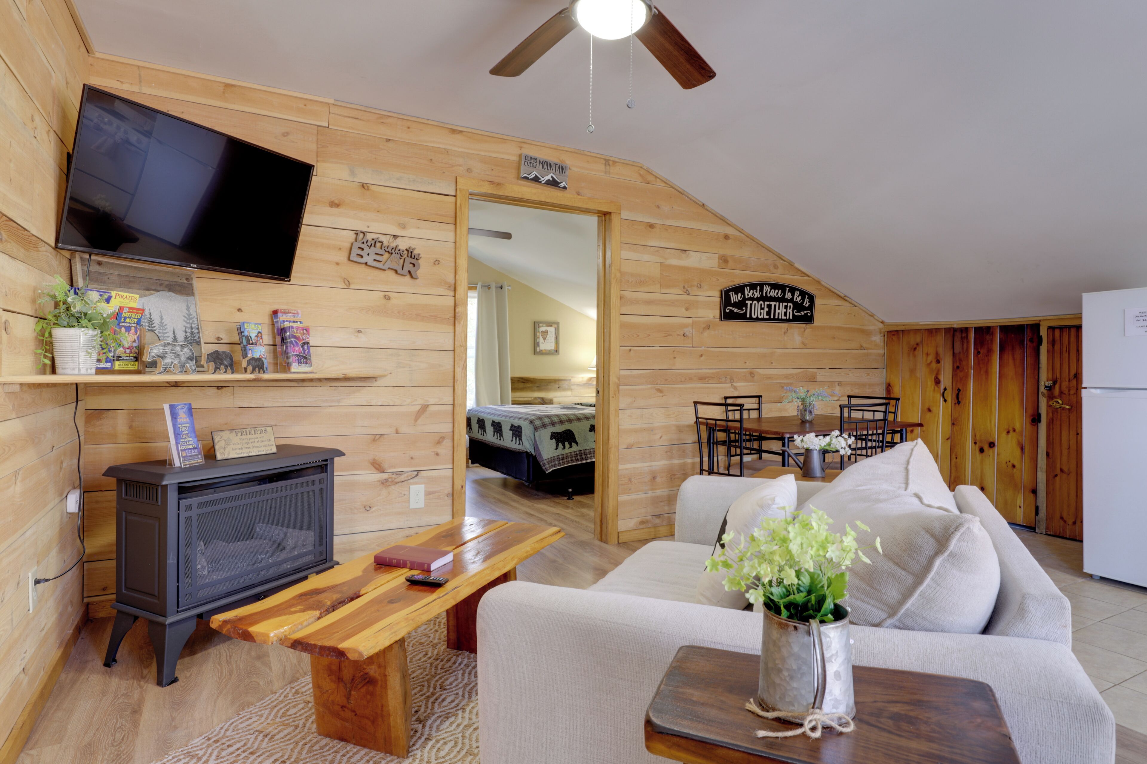 Televisión, chimenea, libros y videoteca 