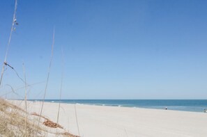 On the beach