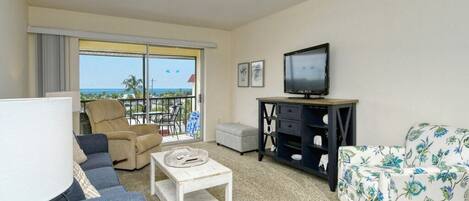 电视、DVD 播放器、乒乓球、书