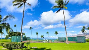 A tennis court with palm trees, a clear sky, and a view of the ocean.