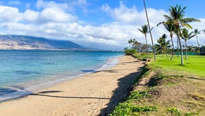 A beach with palm trees, a clear sky, and a mountain in the distance.