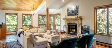 Télévision, cheminée, livres