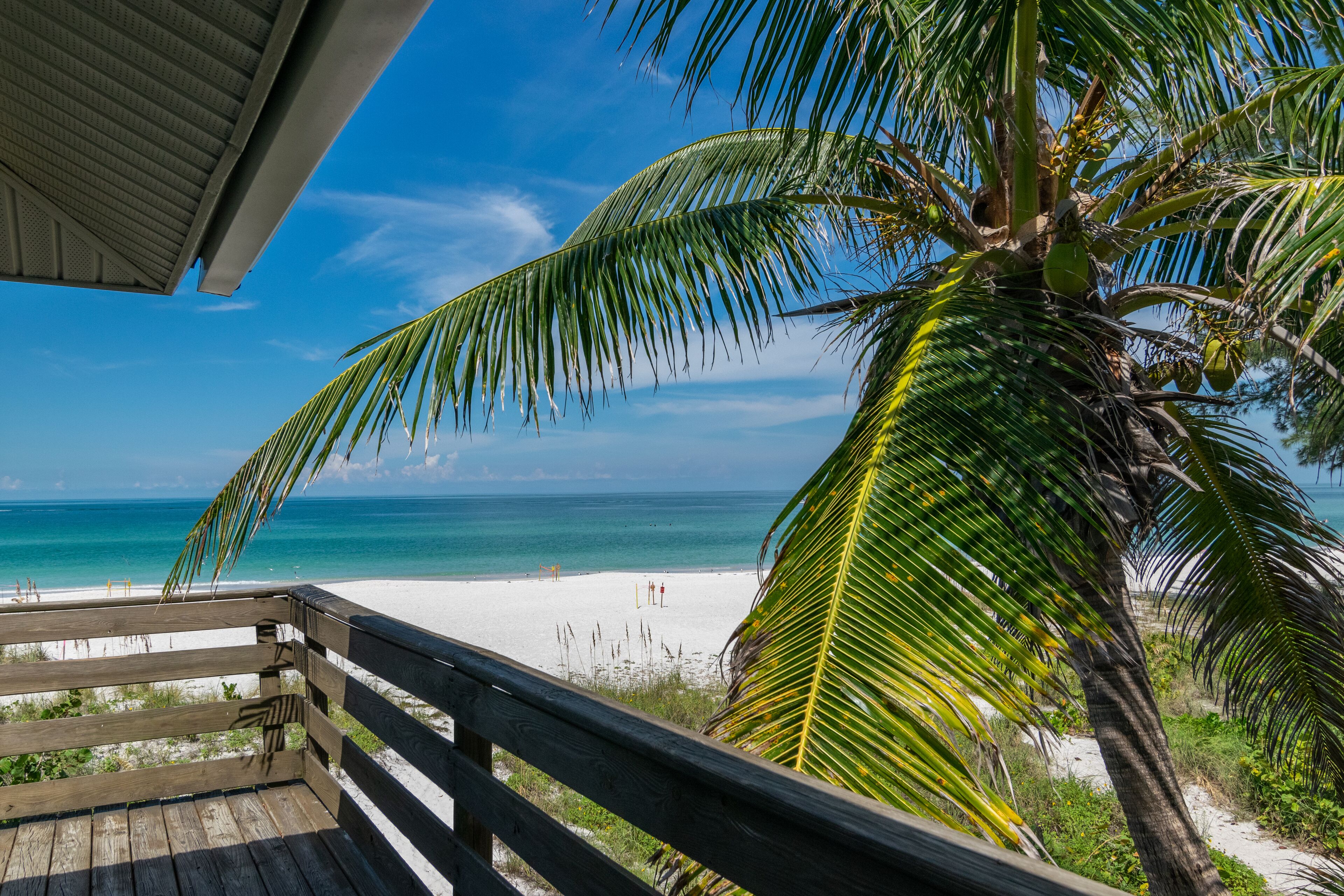 A wooden deck overlooking a beach with a palm tree and ocean view.