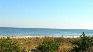 Uitzicht op een strand met heldere lucht, zandstrand en wat begroeiing op de voorgrond.