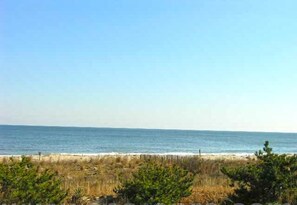 A beach view with a clear sky, sandy shore, and some vegetation in the foreground.
