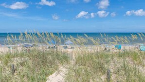 A beach with tall grasses in the foreground, a clear blue sky, and the ocean in the background.