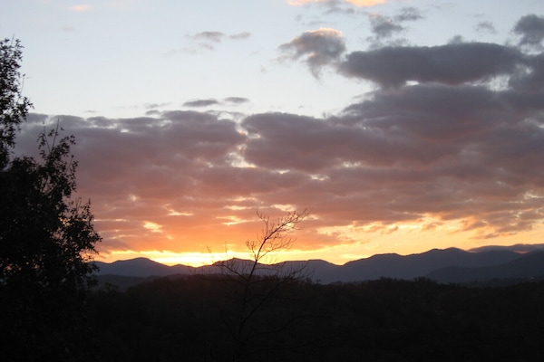 Check out the cabin with this view!!