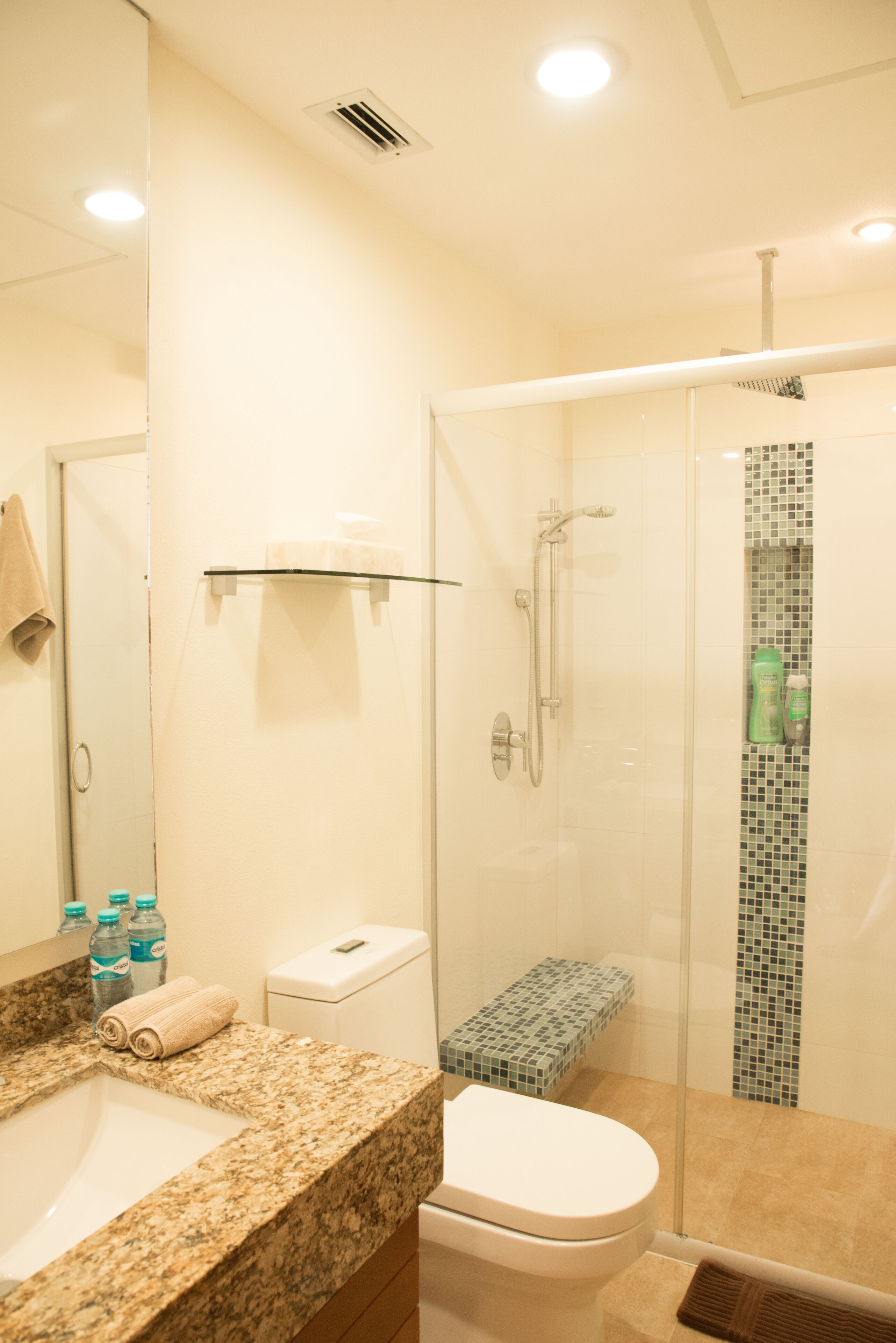 Un baño con encimera de granito, inodoro, cabina de ducha de vidrio y pared de ducha azulejada.