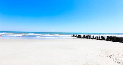 Watch Pelicans Soar Above the Beach from the Porch of this New, Dog Friendly, Beachfront Bungalow