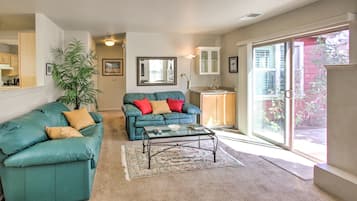 TV, fireplace, DVD player, books