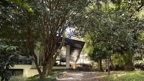 A modern building with a covered outdoor area, surrounded by dense foliage and a gravel path. - Pousada Villa Dei Fiori (Bento Gonçalves)