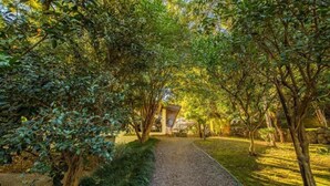 A pathway leading through a lush garden with trees and a building in the background. - Pousada Villa Dei Fiori (Bento Gonçalves)