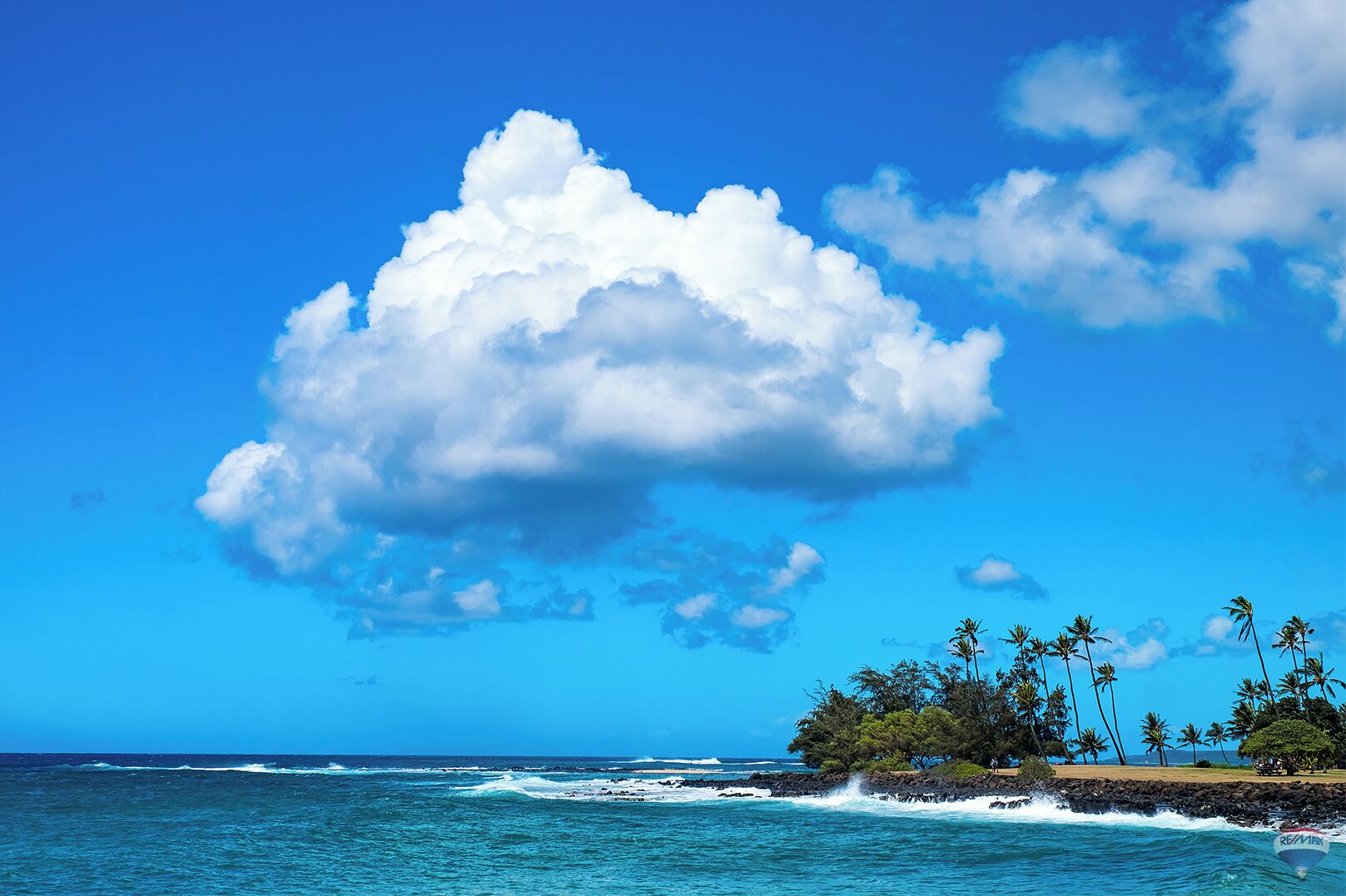 A tropical beach with clear skies, ocean waves, and palm trees.