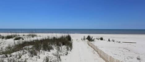 Playa en los alrededores