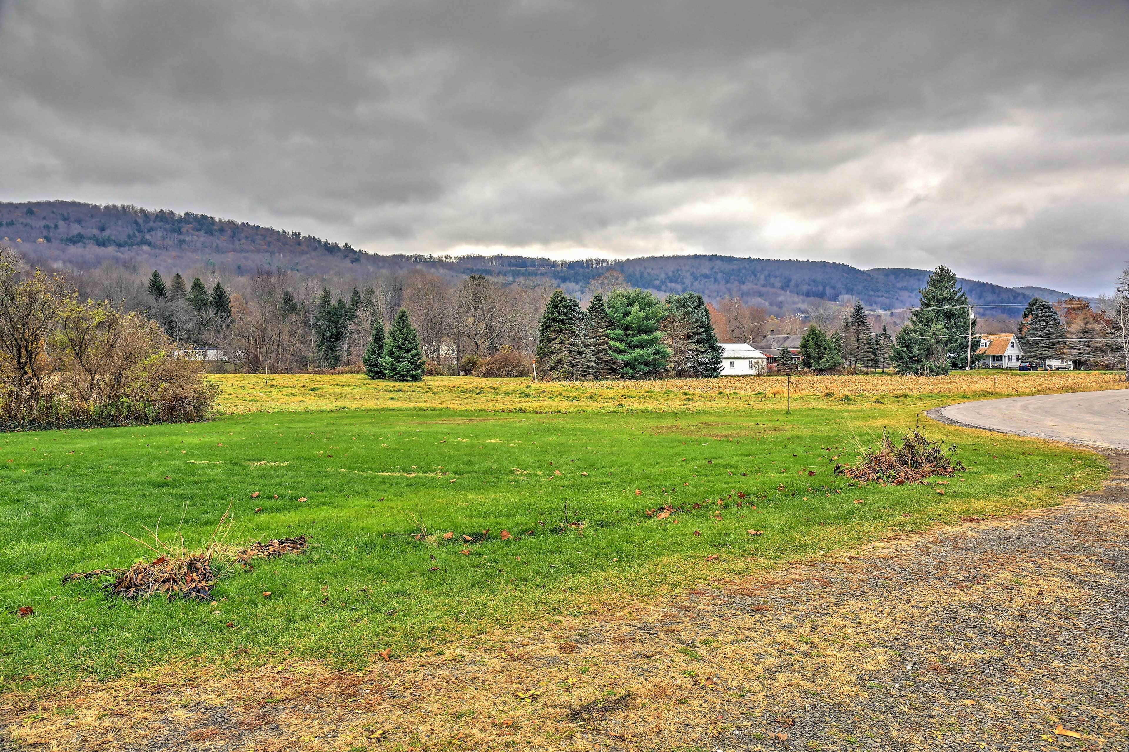 A rural landscape with a grassy field, a road, and houses in the background.