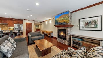 TV, fireplace, video games, DVD player