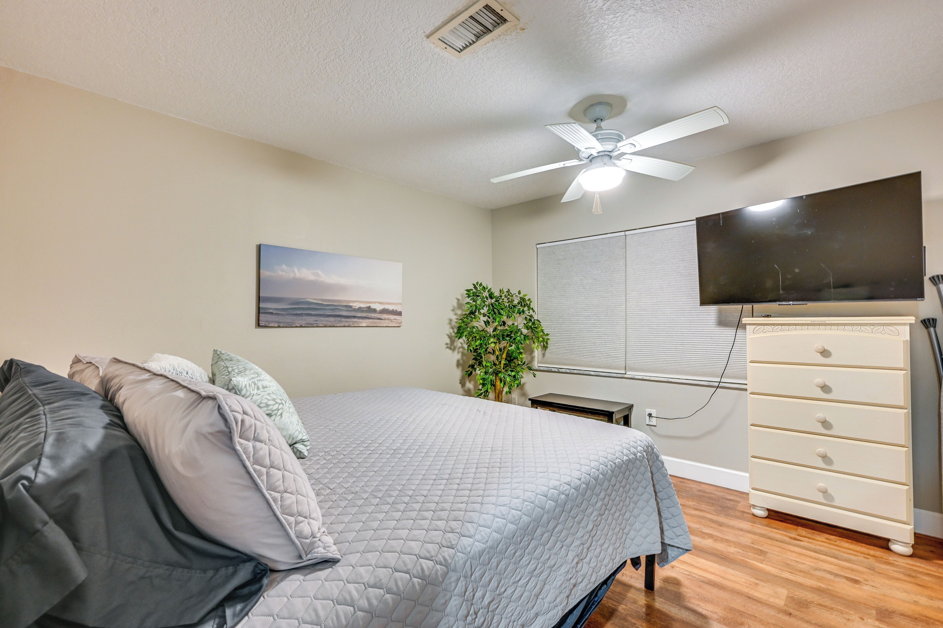 A bedroom with a bed, a ceiling fan, a TV, a dresser, and a plant.