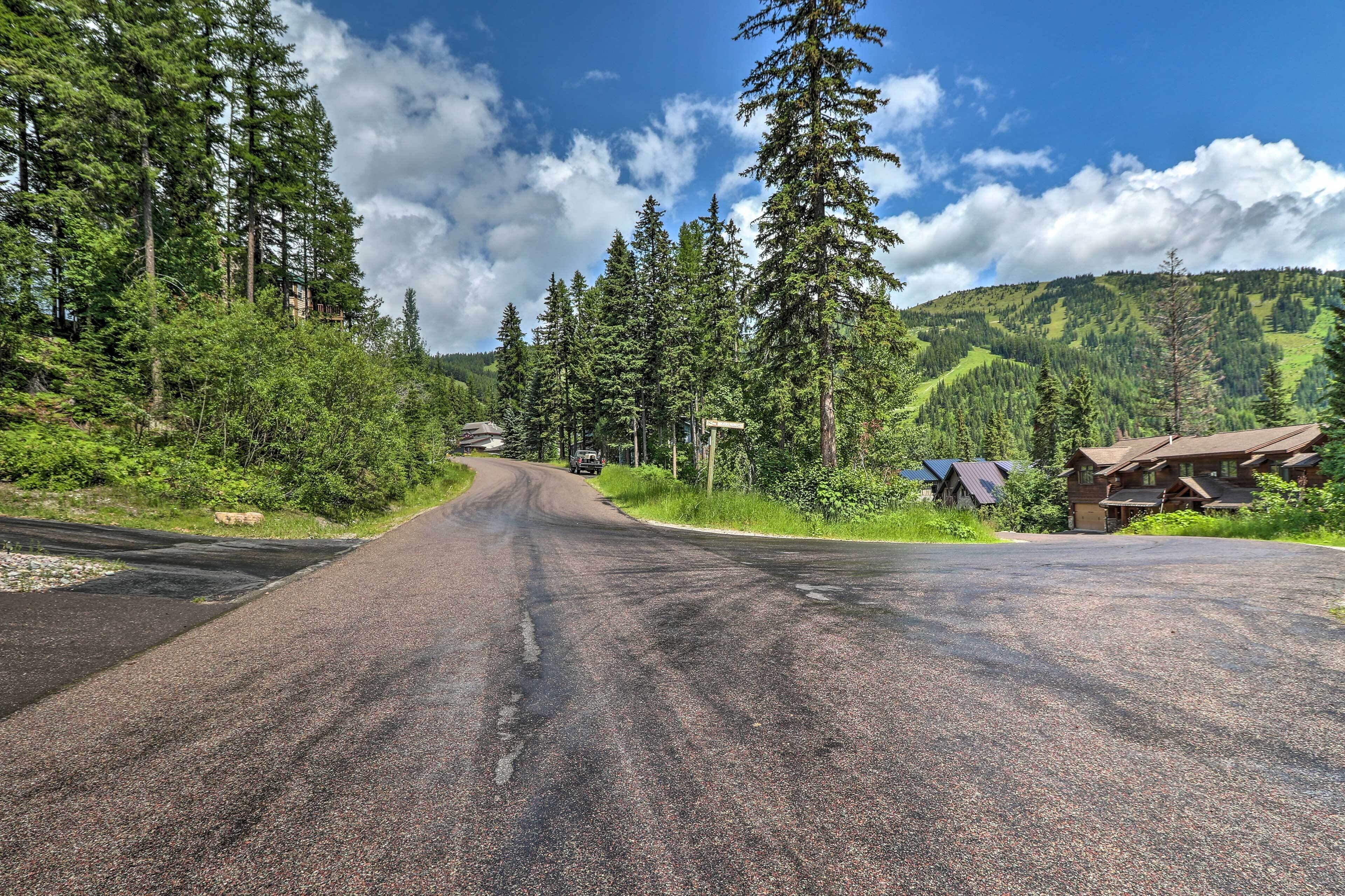 A rural road flanked by dense forests and a mountain backdrop.